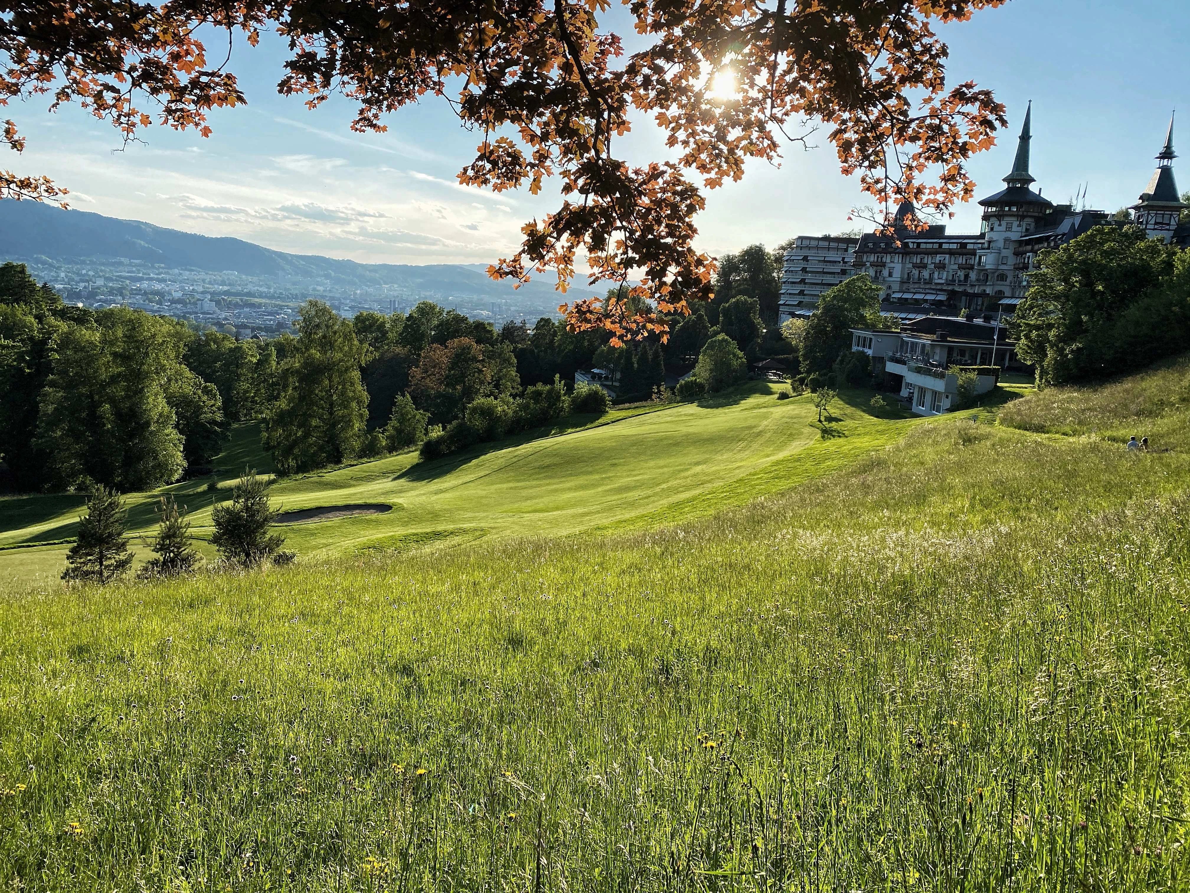 Hillside view with mountains