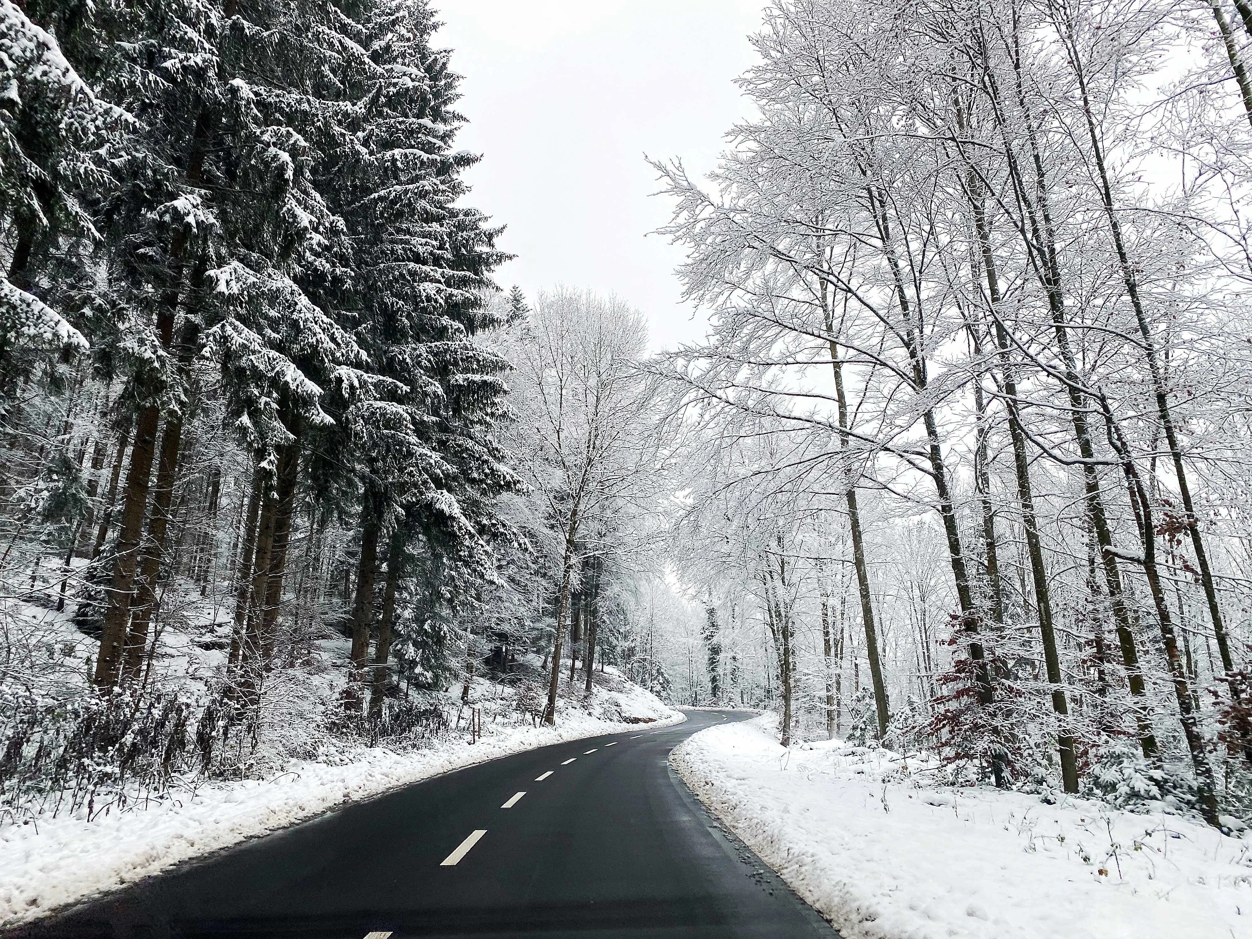 Snowy winter road